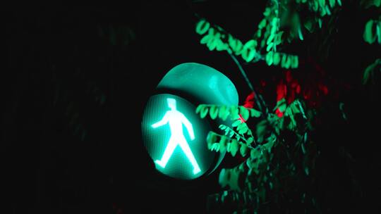 夜晚路口的红绿灯树枝视频素材模板下载