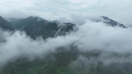 森林云海航拍山峰云雾高山云海山脉自然风光