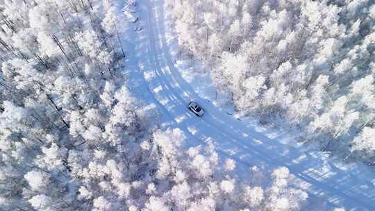 航拍汽车行走在被雪覆盖的树林和小路