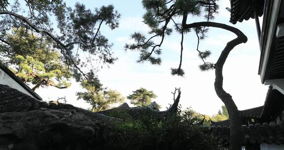 阳光绿植 生态古建园林局部特写