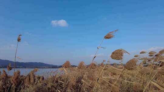 场地户外天空大自然