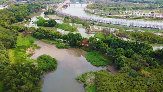 春天广州湿地公园航拍