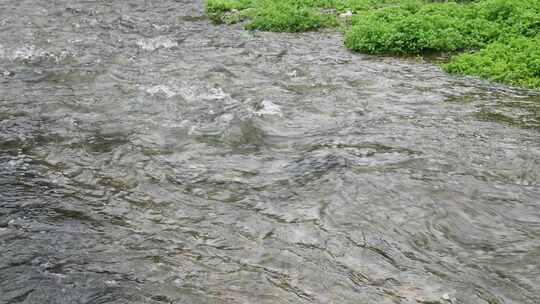 清澈河水河流水源水流溪流溪水