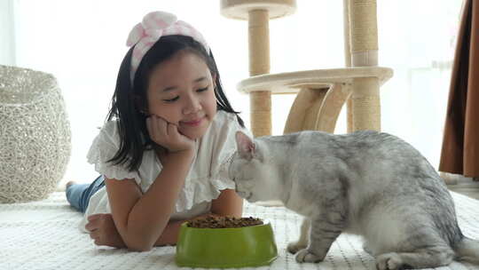 女孩喂养宠物猫视频素材模板下载