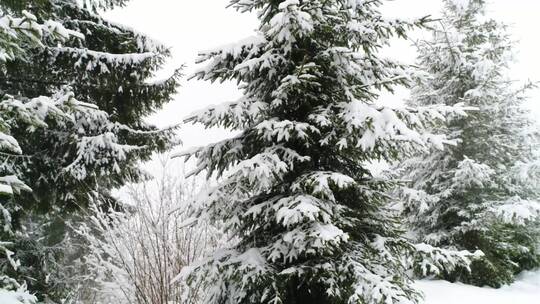 4K冬日冬季滑雪雪景雪山树林湖面云彩海面