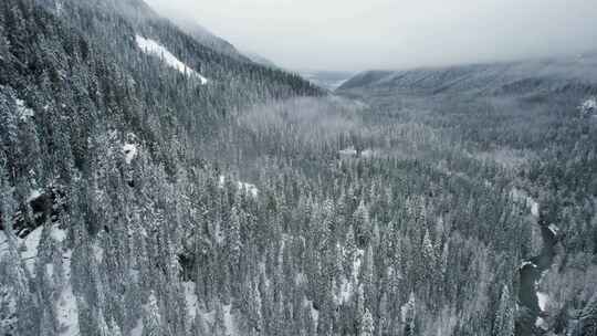 山，冬天，雪，树