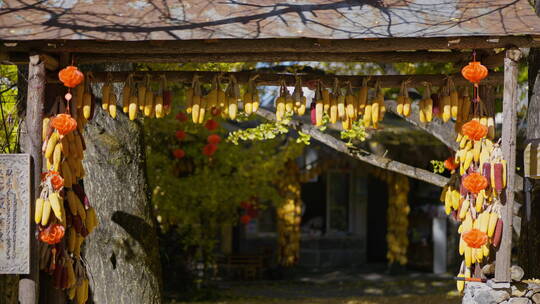 银杏村中挂满玉米的木门