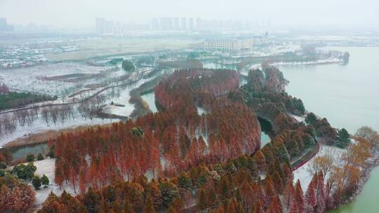 连云港硕项湖雪景0233视频素材模板下载