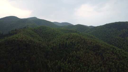 4K航拍浙江安吉山林风格