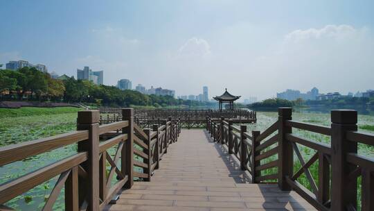 广西南宁南湖公园九曲桥视频素材模板下载