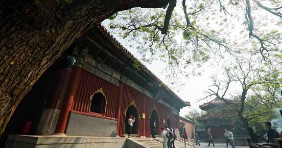 北京雍和宫雍和门烧香祈福