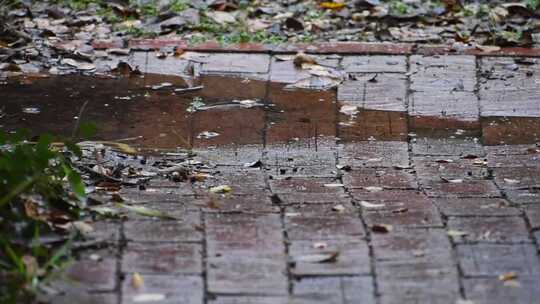 雨滴落在砖路的水坑上