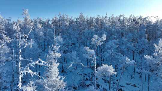 大兴安岭航拍林海雪原银装素裹