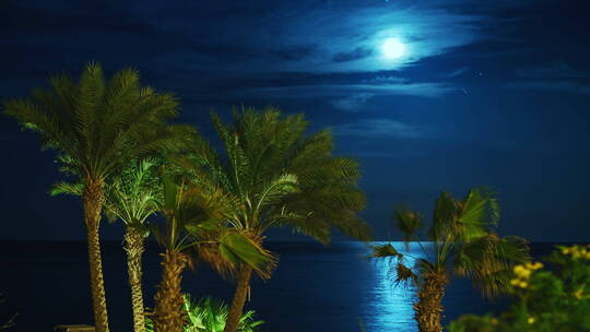 热带海岸上空升起的月亮