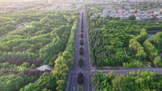 洛阳城市大景道路交通车流航拍