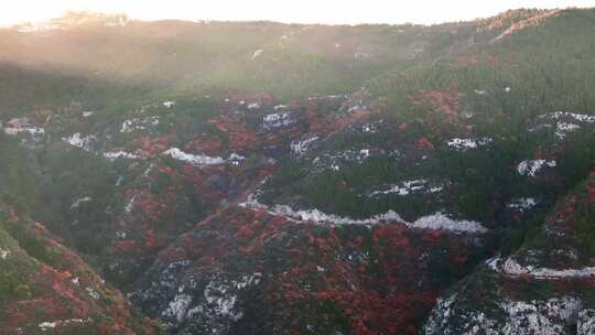 秋日红叶森林航拍满山红叶