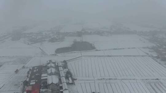 航拍农村乡镇田野民房下雪雪景视频素材模板下载