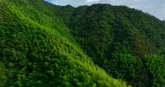 浙江 天目山 宁国 航拍