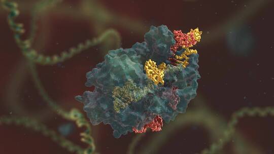 生物科学 基因编辑 DNA 基因工程 医学动画