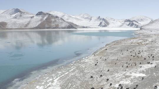 航拍4KDlog冬季西藏羊卓雍错