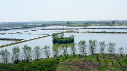 渔业基地鱼场鱼塘4k航拍