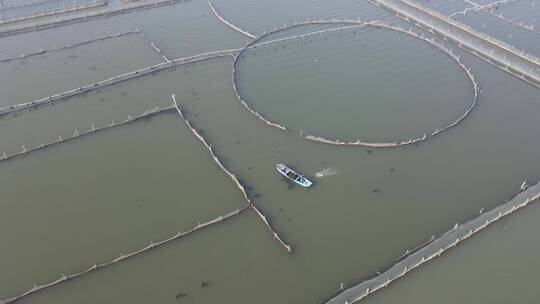 苏州阳澄湖大闸蟹基地4K航拍原素材