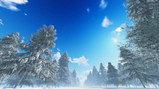 4K冬天冬日唯美雪景下雪雪花飘落蓝天视频