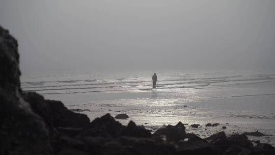 渔民赶海挖海鲜贝类沙滩海边退潮捕鱼生活视频素材模板下载