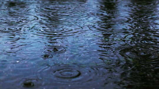 雨水滴落在水池泛起涟漪