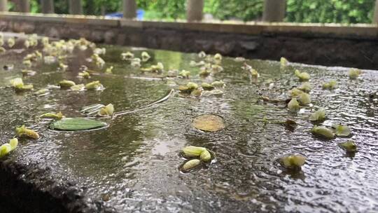 济南于家桥景观，小桥流水酷似江南风貌