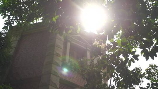 上海老别墅阳光树林建筑老房子阳光穿透树叶