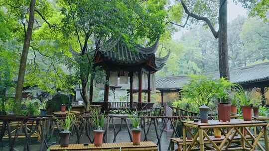 成都街景杜甫草堂雨天绿色树叶