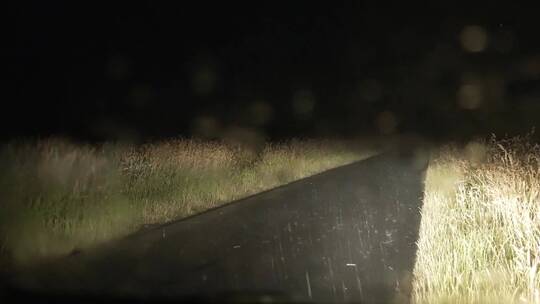 汽车中拍摄夜晚暴雨大雨闪电