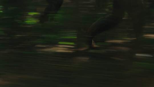 丛林奔跑的脚步视频素材模板下载