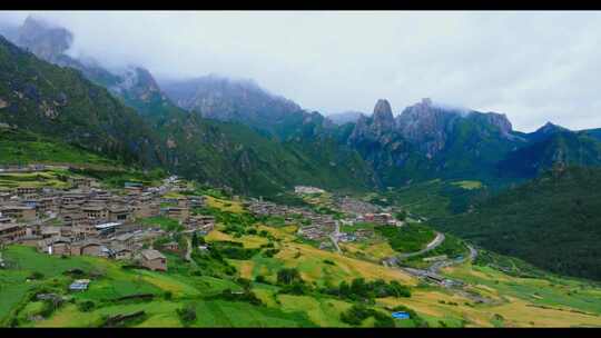 山川云雾 高山 森林植被