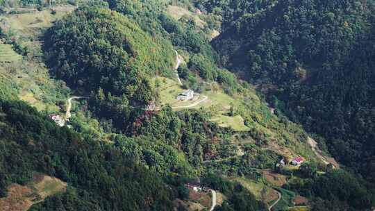 秦岭森林秋色山路