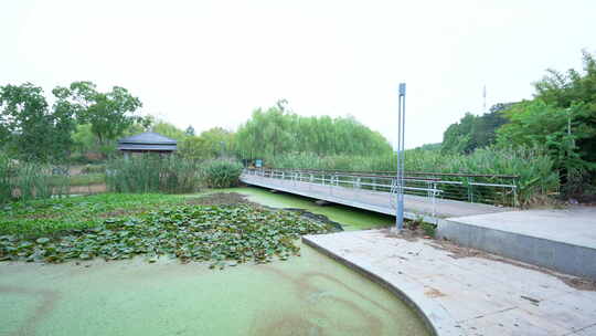 武汉光谷三路湿地公园风景