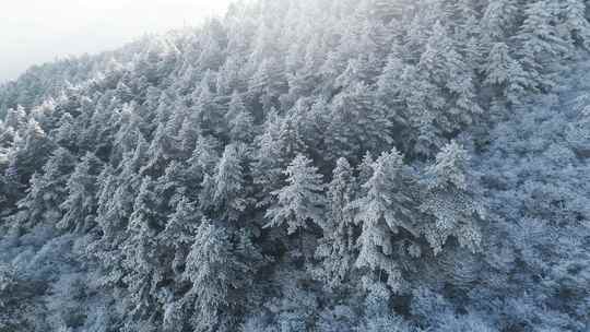 杭州临安太子尖华浪线森林雪景航拍