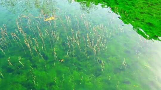 沕沕水 沕沕水天池 沕沕水景区