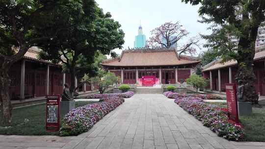 中国广东省广州市越秀区农讲所木棉花