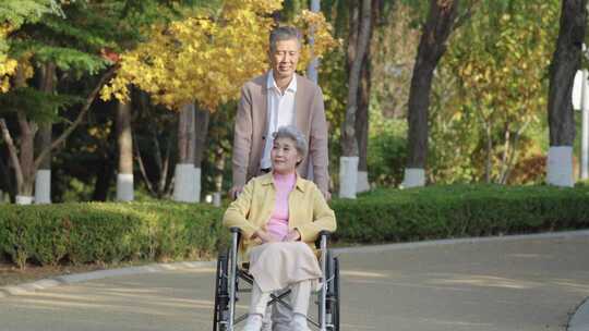 老年幸福生活 陪伴 老人轮椅
