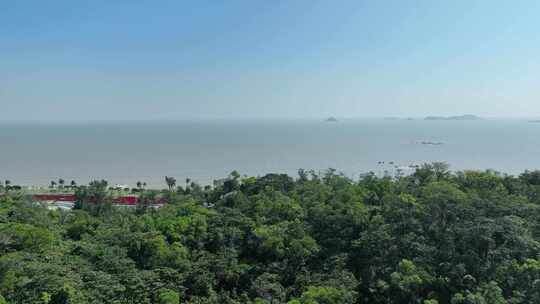 山峰大海航拍山海森林树林海岸线风光风景