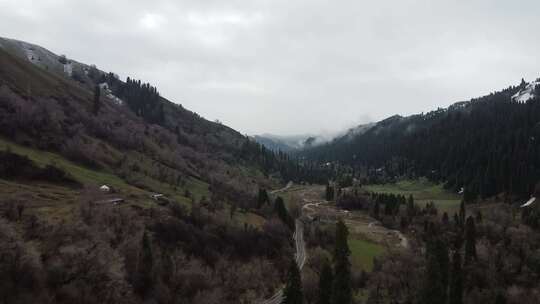 新疆伊犁库尔德宁大气壮观雪山草原景色