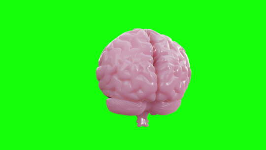 绿幕和人体大脑活动视频素材模板下载