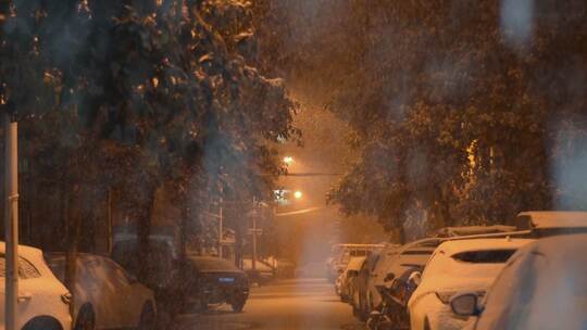 小巷子夜晚雪景 晚上路灯下的飞雪高清在线视频素材下载