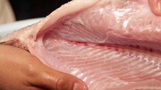 清洗鱼肉处理鱼肉视频素材模板下载