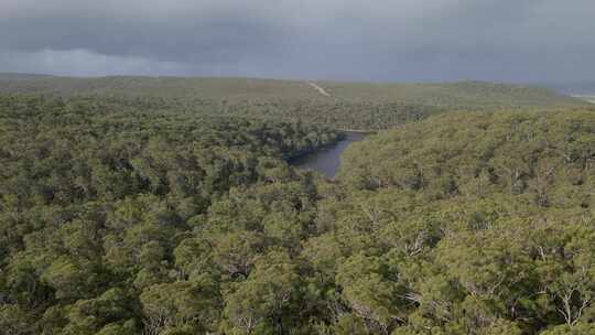 蓝湖国家公园森林与绿树在白天-保护区在北斯特拉布鲁克岛