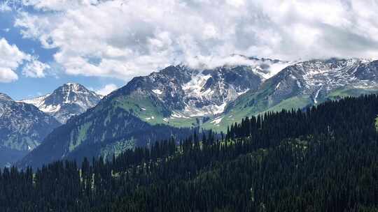 新疆恰西唯美震撼森林雪山航拍2