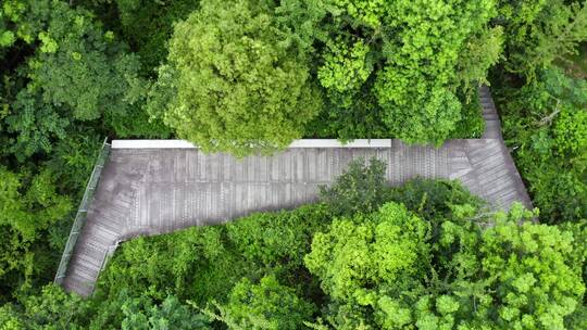 航拍河边公园道路