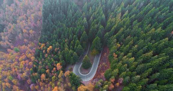 穿过山林的道路航拍